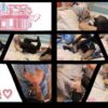 Thumbnail of related posts 031